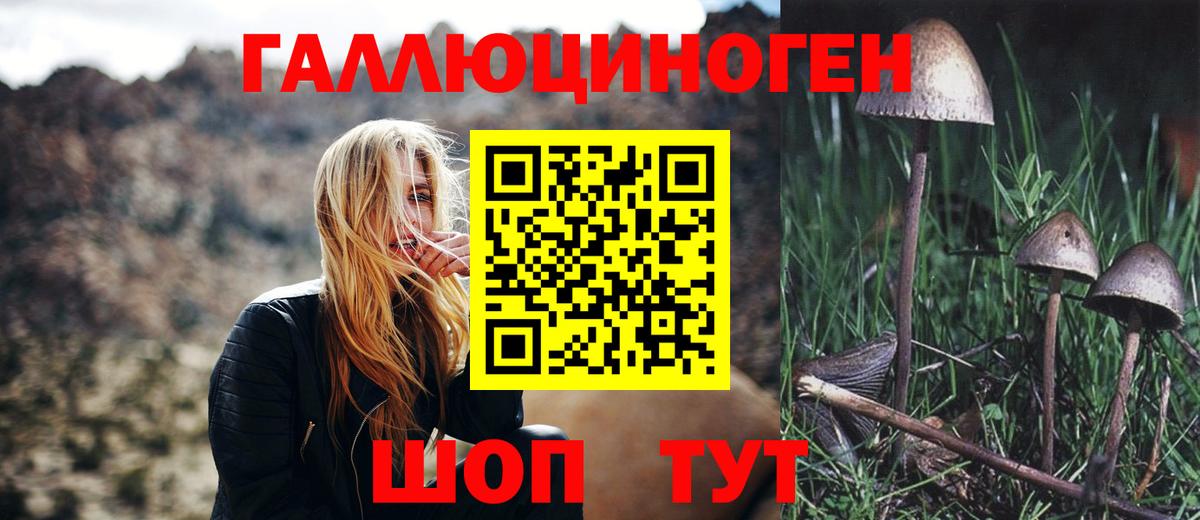 Псилоцибиновые грибы мухоморы Ахтубинск